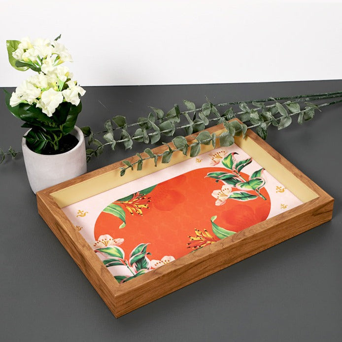 Orange Series Tray